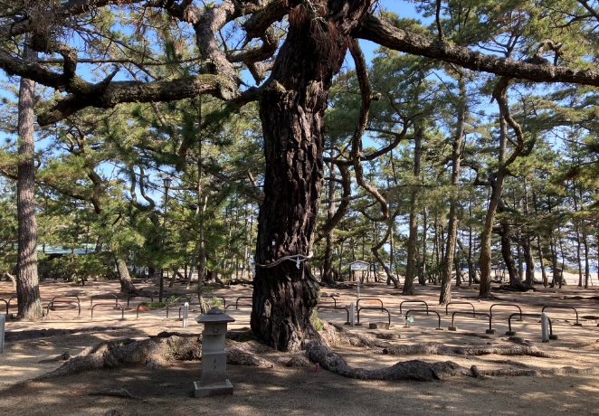 風景
