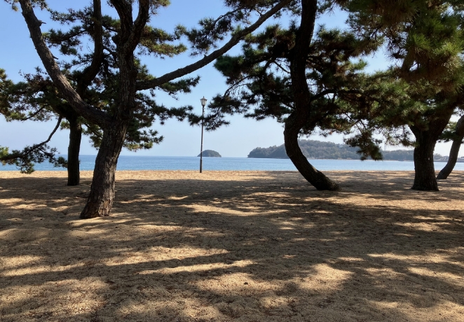 風景
